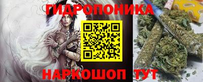 шишки Иваново