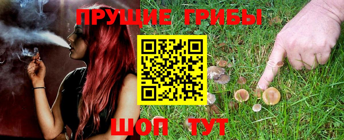 Галлюциногенные грибы Magic Shrooms Белогорск